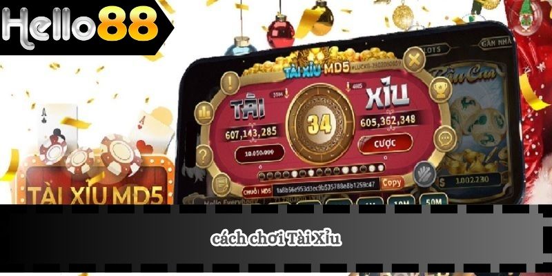 Cách Chơi Tài Xỉu 1 Cách chơi Tài Xỉu